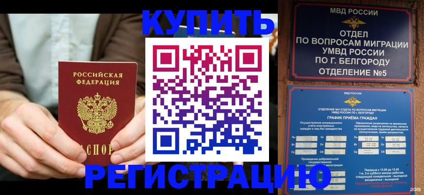 прописка 2025 в Наволоках
